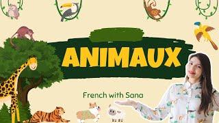 French for beginners les animaux domestiques et les animaux sauvages FLE Niveau A1 #frenchwithsana