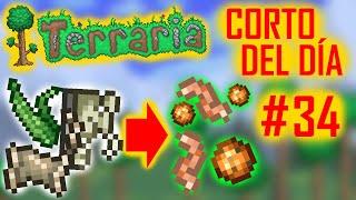 AHORA SÍ ÚTILES - Terraria - Corto del Día - Capítulo 34 #shorts #terraria #datoscuriosos