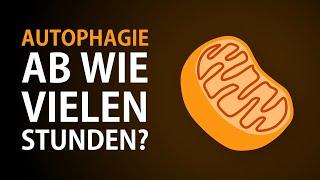 Wie lange fasten um die Autophagie zu aktivieren? Ab wie vielen Stunden beginnt die Autophagie?