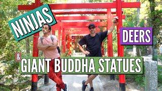 WE FOUND A REAL NINJA TOWN IN IGA UENO - Visiting Iga Ueno Nara Park & The Todai-ji Daibutsuden