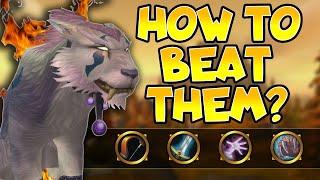 SoD Feral Druid PVP  Strats in 1v1 Situations PART I - Phase 2 Season of Discovery Guide