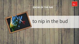 Vocab Shorts - to nip in the bud