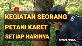 KEGIATAN SEORANG PETANI KARET SETIAP HARINYA@yukemadeka