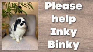 INKY BINKY MAKES A PLEA