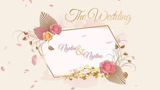 2020 Wedding Invitation Video Templates  Blank and Free After Effects Templates