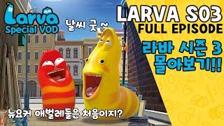 ▶LARVA S03  라바 시즌 3  FULL Episode  시간순삭 뉴요커 레드와 옐로우의 길거리 생활기  케이블_BOX