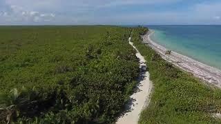 2019 07 28 Hidden forest Island   Drone Aerial View   Free stock footage   Free HD Videos   no copyr