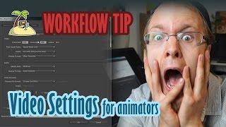 Video Settings Explained for Animators