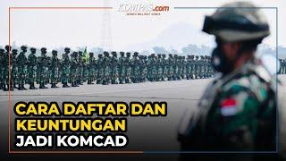 Cara Mendaftar hingga Keuntungan yang Didapat Pasukan Komcad