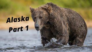 8 DAYS SOLO IN ALASKA PART 1 - WILDLIFE PHOTOGRAPHY BEARS AND MORE