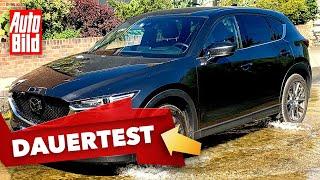 Mazda CX-5 2019  Wie stehts um die Haltbarkeit des CX-5?  Dauertest mit Tim Dahlgaard