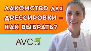 Как выбрать лакомство для дрессировки? Советы ветеринарного врача