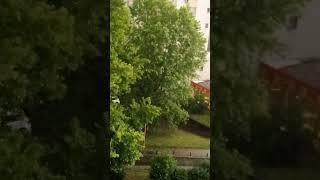 Summer Rain Part 2