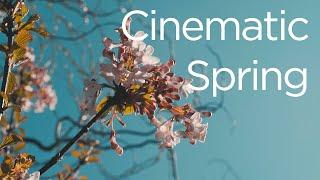 Spring Cinematic  Sony a6500 + Vintage Lens