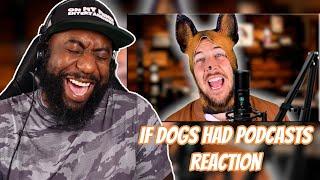 If Dogs Had Podcasts Reaction  Ryan George