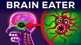 The Most Horrible Parasite Brain Eating Amoeba