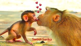Cute picture of MoM Sarika playing & teach her baby adorable SaBa monkey52