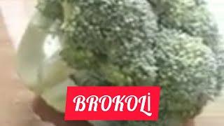 Brokolinin faydaları nələrdir? #1001#  dərdin dərmanı