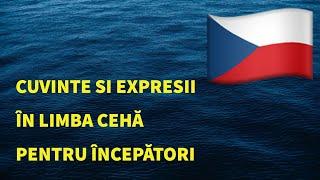 Cuvinte și fraze in limba cehă pentru începători. Studiați limba cehă fără efort.