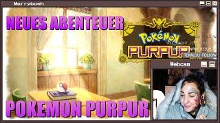 Neues Abenteuer - Pokémon Purpur - Stream  Highlight 1