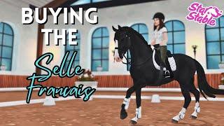 Buying the Selle Francais  Star Stable Online