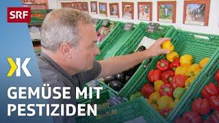 Peperoni im Test Mit jeder Zweiten essen wir Pestizide  2019  Kassensturz  SRF