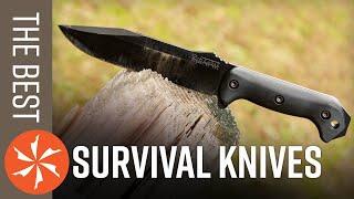 Best Survival Knives Available in 2021