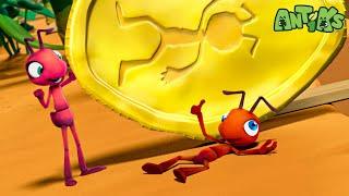 Ants Adventures Choco Coin ️  Antiks  Moonbug Create