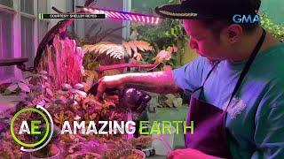 Amazing Earth The tattoo artist with a carnivorous garden
