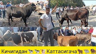 Сурхондарё узун якшанба бозори