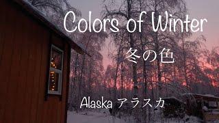 Colors of Winter 冬色