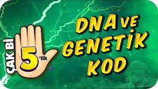 DNA ve Genetik Kod  5 Dakikada Net Artırma Garantili