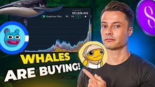 MEME Coin Whales Are Buying MILLIONS $$$ Of These MemeCoins $Turbo $Brett $Dog
