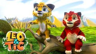 Leo and Tig  All episodes in row  Funny Family Animated Cartoon for Kids