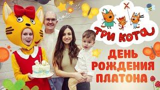 День рождения Платона - Три кота - Сергей Кудеров - канал о путешествиях