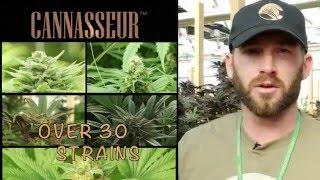 Cannasseur Greenhouse Cultivation Cannabis