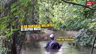 Seorang Pria Jelajahi Sungai Amazon Selama 860 Hari Demi Buktikan Anaconda Raksasa Ada Hingga Kini..