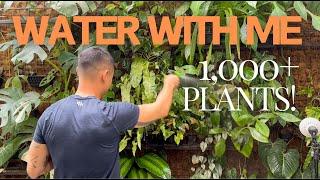 Deeply Satisfying and Educational 🪴 Plant Watering Episode  Watering Techniques Revealed