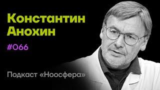 Константин Анохин Сознание мозг теория когнитома  Подкаст «Ноосфера» #066