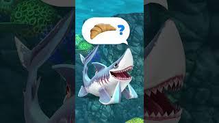 Hungry Shark  Quaso