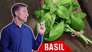 Amazing Health & Nutritional Benefits Of Basil  Dr. Berg