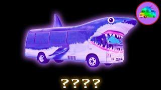 6 SHARK BUS SONG Sound Variations & Sound Effects in 42 Seconds