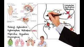 Pharmacology - OPIOIDS MADE EASY