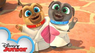 Bob and Anas Wedding   Compilation  Puppy Dog Pals  @disneyjunior