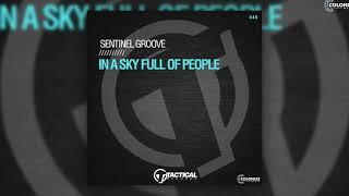 Sentinel Groove - In A Sky Full Of People