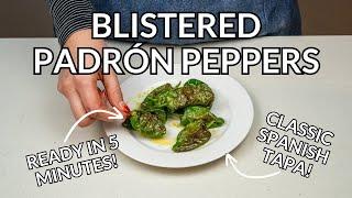 Blistered Spanish Padrón Peppers Easy Tapas Recipe