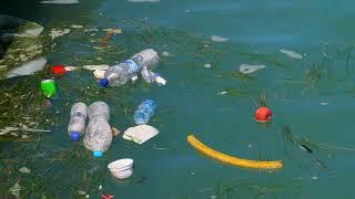 Polluted Water with Plastic Waste 4K Video