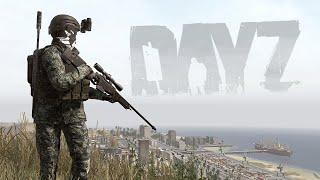 DayZ Solo WIPES The ENTIRE Server