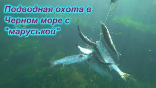 Да все как обычноПодводная охота в Черном море с маруськой2020