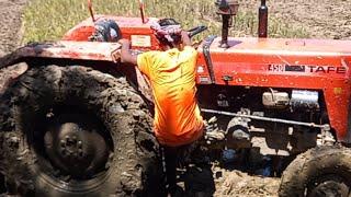 Farming in Quicksand#quicksand #mud #farming #travel #explore